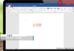 pdf内容怎么放在word(pdf 插入word)