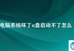 电脑系统坏了u盘启动不了怎么办(电脑系统坏了U盘无法启动尝试这些方法)