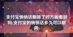 支付宝悄悄话删除了对方能看到吗(支付宝的悄悄话多久可以撤回)