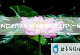 阿甘正传影评300字(观看阿甘正传写一篇影评)