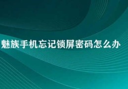 魅族手机忘记锁屏密码怎么办(魅族手机锁屏密码解决方法)