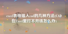 excel表格插入cad的几种方法(CAD在Excel里打不开该怎么办)