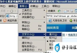 为什么电脑的字变小了(如何解决字体变小的问题)