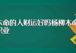 杨柳木命的人财运好吗杨柳木命适合什么职业(杨柳木命的人财运以及职业)