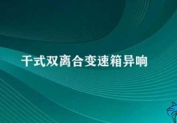 干式双离合变速箱异响(如何解决干式双离合变速箱异响问题)