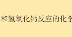 属于什么类型反应(二氧化硫和氢氧化钙反应的化学方程式)