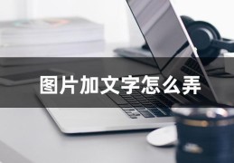 怎么在照片上加文字(图片加文字的小技巧)