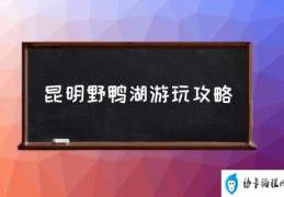 云南昆明野鸭湖怎么样?好玩吗？(昆明野鸭湖游玩攻略)