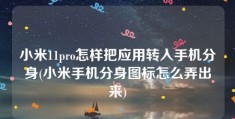 小米11pro怎样把应用转入手机分身(小米手机分身图标怎么弄出来)