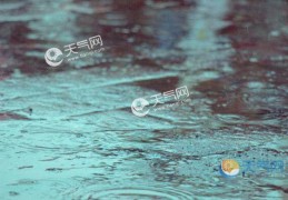 2021年上海中考遇梅雨阴雨不断(最高气温22℃)