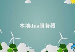 本地dns服务器(如何设置本地DNS服务器)