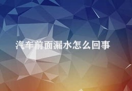 汽车前面漏水怎么回事(汽车漏水原因排查)