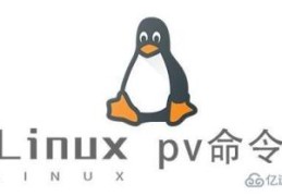 Linux中pv命令有什么用