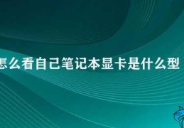 怎么看自己笔记本显卡是什么型号的(如何查看笔记本电脑的显卡型号)