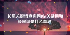 长尾关键词查询网站(关键词和长尾词是什么意思)