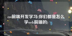 css前端开发学习(你们都是怎么学web前端的)