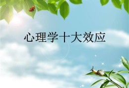 了解心理学领域核心原则(心理学十大定律)