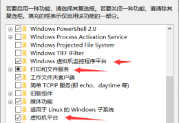 如何解决win10虚拟机闪退问题