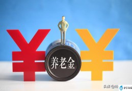 养老保险怎么买最划算(养老保险一年交多少钱)