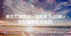 新款红旗轿车h9油耗多少(红旗h9加长版轿车价格图)