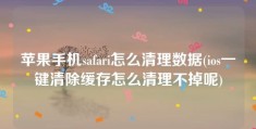 苹果手机safari怎么清理数据(ios一键清除缓存怎么清理不掉呢)