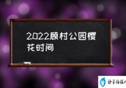 2022顾村公园樱花时间(上海顾村公园什么时候开放？)