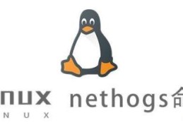 Linux中nethogs命令有什么用