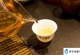 煮茶与泡茶什么不同（煮茶和泡茶有什么样的区别）