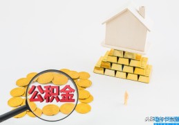 公积金必须满2万才能用吗(一万公积金能贷多少钱)