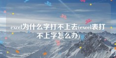 excel为什么字打不上去(excel表打不上字怎么办)