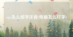 wps怎么给字注音(电脑怎么打字)