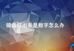 键盘打出来是数字怎么办(键盘输入数字的解决方法)