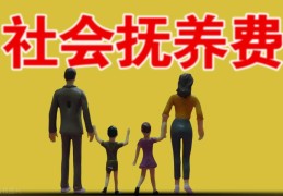 非婚生子社会抚养费征收标准(社会抚养费征收标准是什么)