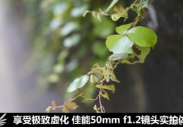 佳能50mm定焦镜头1.2怎么样(佳能50mm1.2镜头价格)