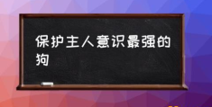 保护主人意识最强的狗(对主人忠诚的狗狗有哪些？)