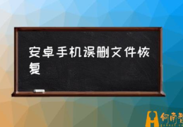 怎么找回删掉的文件夹？(安卓手机误删文件恢复)