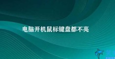 电脑开机鼠标键盘都不亮(如何解决电脑开机鼠标键盘不亮的问题)