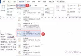 分页符怎么设置有哪些方法(插入分页符的三种方法)