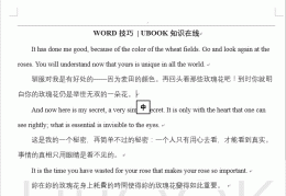 word怎么标注读音(word的朗读同义词库)