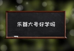 乐器大号好学吗(小号好学还是长号好学？)