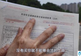 2021年车险价格表 (车险要买哪几种险种)