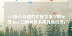 excel怎么筛选姓名里含张字的记录(Excel如何筛选多条姓名信息)