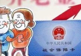 农村养老金怎么查询(农村养老金如何查询)