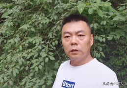 连翘种植技术与栽培管理(连翘繁殖方法及栽培技术管理要点)