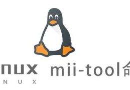 Linux中mii-tool命令怎么用