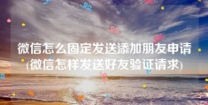 微信怎么固定发送添加朋友申请(微信怎样发送好友验证请求)