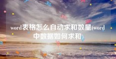 word表格怎么自动求和数量(word中数据如何求和)