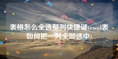 表格怎么全选整列快捷键(excel表如何把一列全部选中)