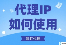 图文详解如何设置代理IP(如何代理ip有什么用)