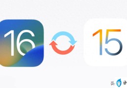 iphone降级卡白苹果怎么办（iOS(16完美降级教程）)